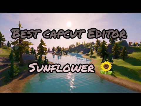 Best Capcut Editor | Sunflower 🌻 | 2022 practice edit