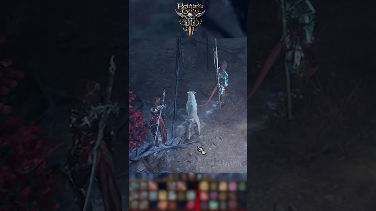 baldur's gate 3 - Шкряб может находить полезный лут shorts 