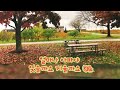알리 얼마나 아파야 잊을까요 알리 얼마나 아파야 잊을까요