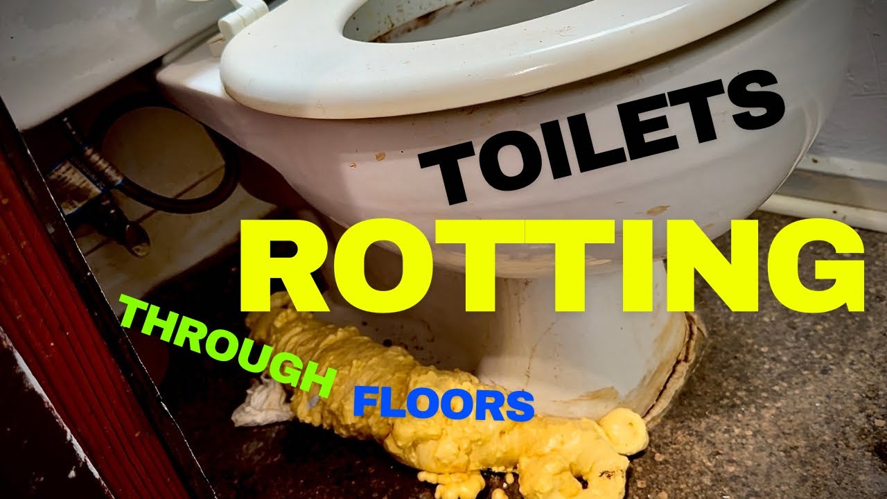 How to replace a rotten sub floor under a sagging toilet