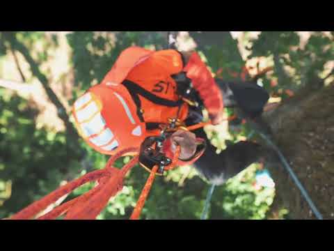 วีดีโอ: รองรับการปีนต้นไม้