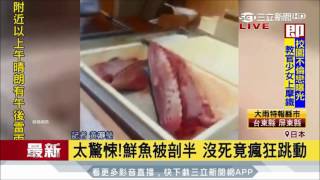 20170706【LIVE大現場】太驚悚!鮮魚被剖半 沒死竟瘋狂跳動|三立新聞台