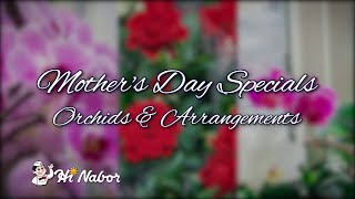 Hi Nabor Weekly Sales Ad 5/6/21 - 5/12/21