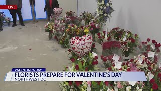 Everything flowers! Here is a behind-the-scenes look of DC florist shop