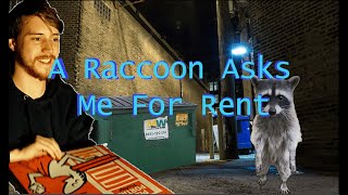 A Raccoon Asks Me For Rent by Grandson 173 views 1 year ago 2 minutes, 34 seconds