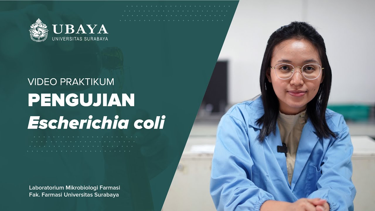 Pengujian Bakteri Escherichia coli