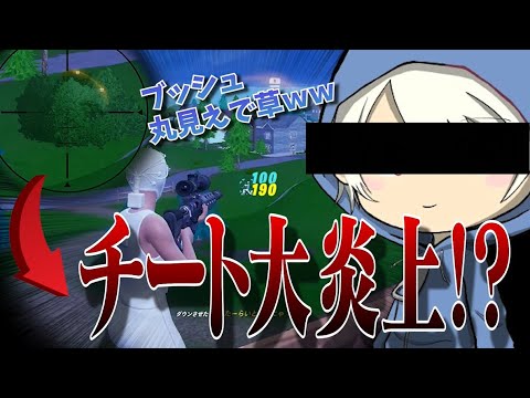 チートを使って炎上した件について【fortnite/フォートナイト】
