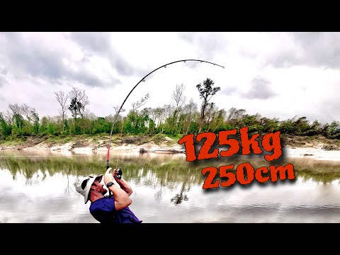 What bites on a whole fish head? Fish pulls 200m of line off the reel before...