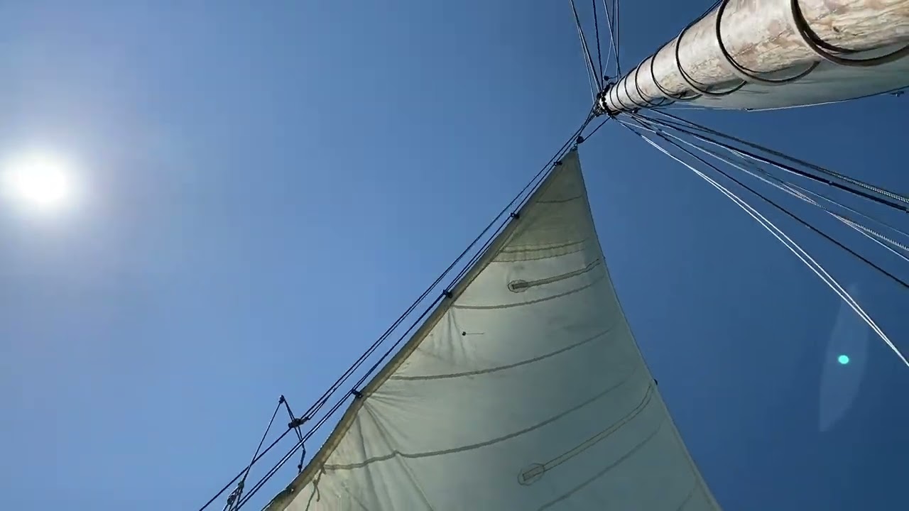 Views from a Sail on Gas Light | San Francisco Bay | A Rhumb Line