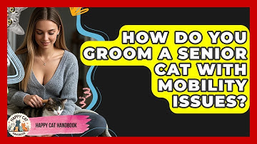 How Do You Groom A Senior Cat With Mobility Issues? - Happy Cat Handbook