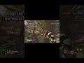 joy of a beautiful rollout boop