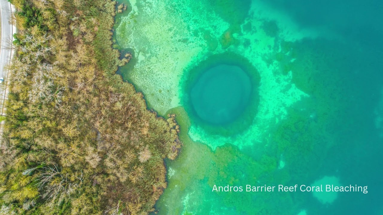 The Bahamas + Climate Change