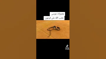 معجزات موسى غضب الله على فرعون 