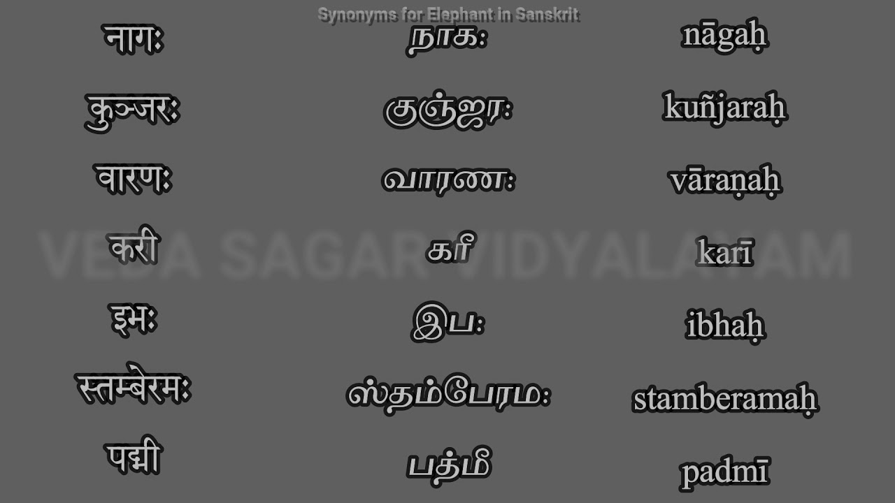 essay of elephant in sanskrit