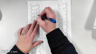 DNA Foldable Instruction Video