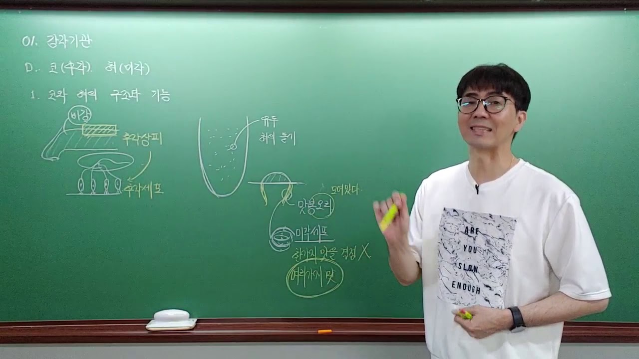 [중3 과학] 4단원 자극과 반응 - 04. 코(후각), 혀(미각) - YouTube