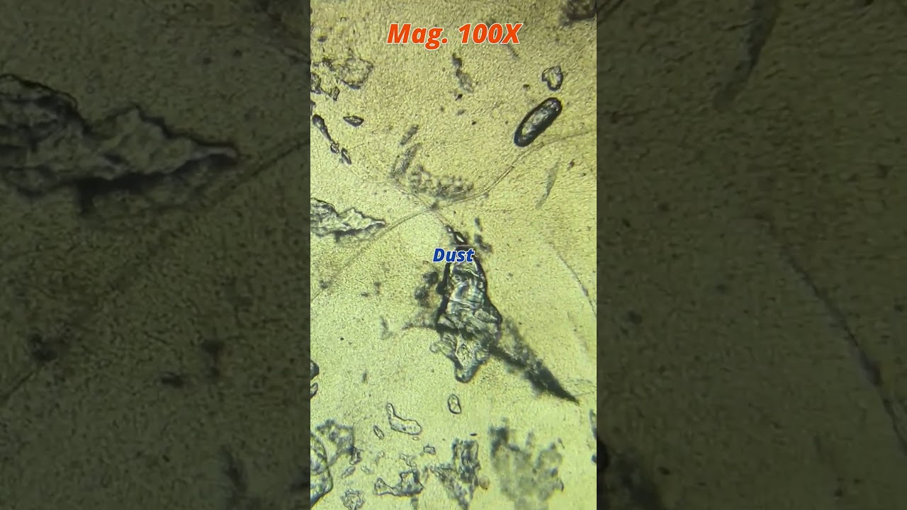 Nose rust under the microscope | TULO - Microscope 