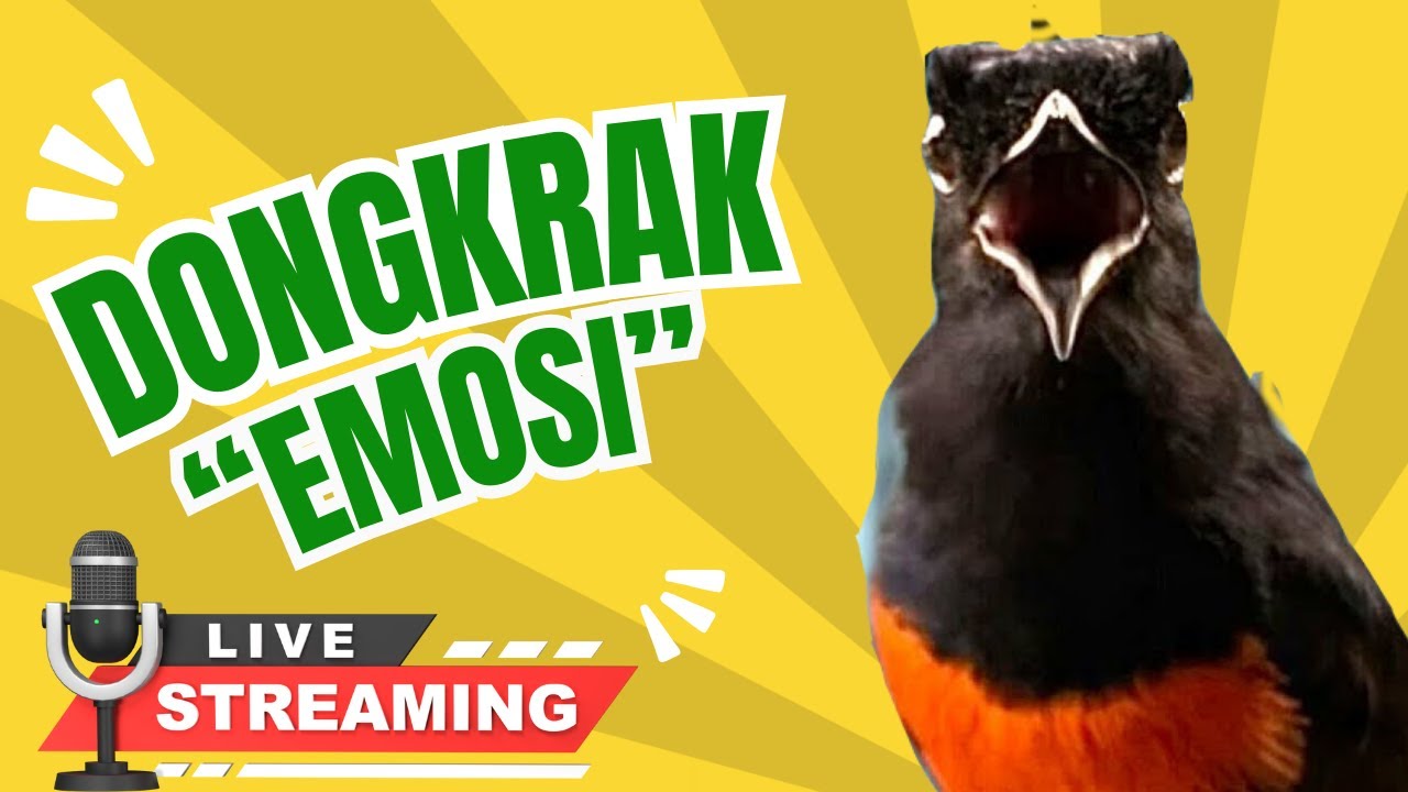 streaming 1 Agustus 2025