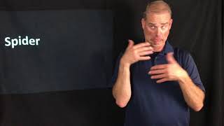 Unit 9 Vocabulary Part 2