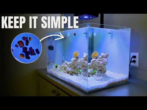 How I Set Up a Simple Saltwater Reef Tank (Day 1 To Day 120)