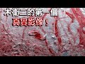 木衛二的第一個真實影像 驚人的事實揭曉 我們從木星最有趣的衛星中知道了什麼呢