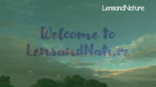 Clouds Moving Timelaps Clouds Meditational Relaxing Video 4K Video Lens And Nature