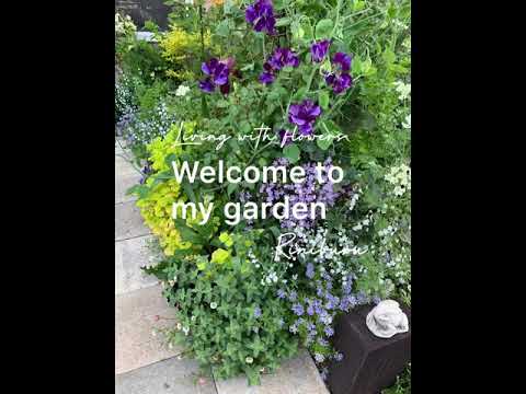 ガーデニング 庭づくりand春のオススメの草花の紹介 Youtube