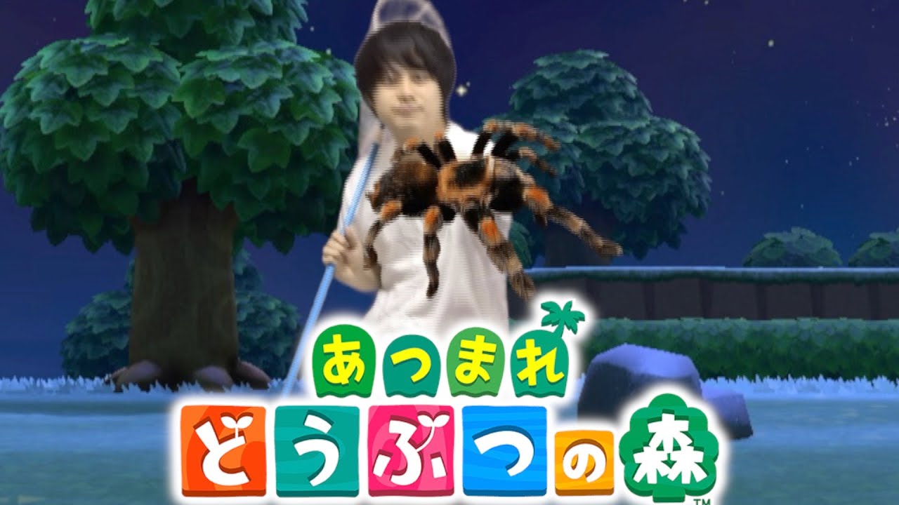 【あつ森】絶対にあつまらないほうがいい、実写版『あつまれどうぶつの森』