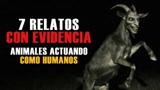 7 RELATOS DE ANIMALES ACTUANDO COMO HUMANOS CON EVIDENCIA | TRASTORNO NOCTURNO