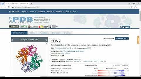 How to download protein structure tutorial || Bioinformatics || RCSB PDB