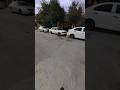 cuidado con el perro...Mercado libre y sus palabras clave!!