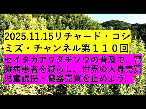 【2025年11月16日 ： 『 リチャード・コシミズ・チャンネル｟ ニコニコ チャンネル『 LIVE 』 ｠｟ 第１１０回放送 ｠｟ 前半無料 ｠｟ 改良版 ｠ 』 】 - 「 リチャード・コシミズ 講演会 」公式「 動画ギャラリー 」