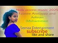 New Oromo Music 2025 Faaxee Anniyyaa Fi Adinaan Mohammed Booletiin Sii Eegaa 720p