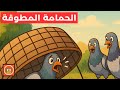 قصة الحمامة المطوقة من أجمل الحكايات عن الشجاعة والتعاون