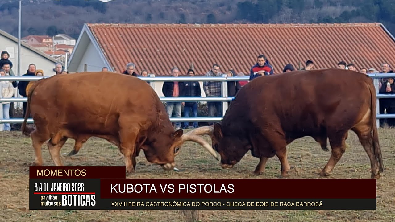 XXVII Feira Gastronómica do Porco - Chegas de Bois 