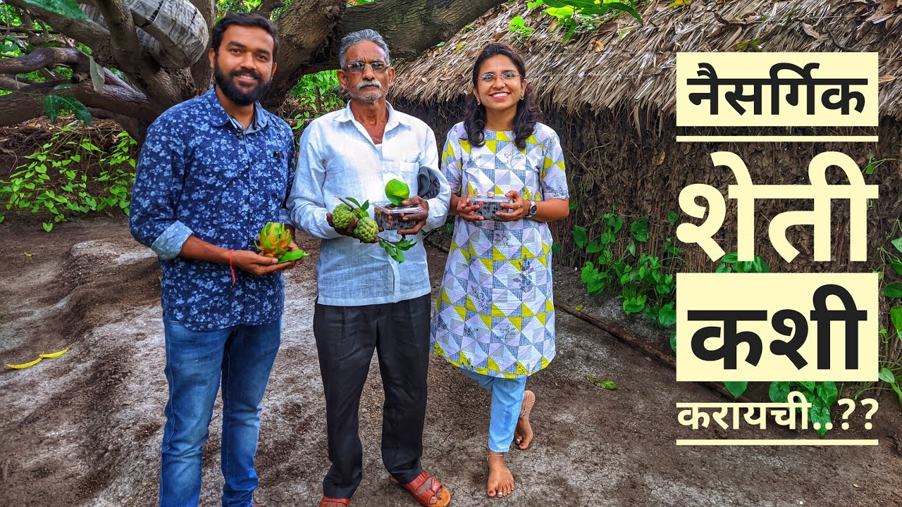 Natural Farming | नैसर्गिक शेती | औषधी वनस्पती | 20 गुंठ्यांत मालकीचं जंगल