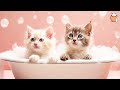 Relaxing cat music and kittens  sleep music for cats  sleepy cat