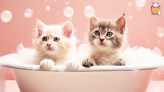 RELAXING CAT MUSIC and kittens | Sleep Music For Cats | Sleepy Cat screenshot 3