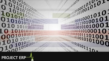 project ERP software for Project-Driven Companies