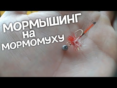 МОРМЫШИНГ на МОРМОМУХУ! В конце июня. Кончилась жара! #мормышинг #мормомуха #наноджиг #мормышинг2021