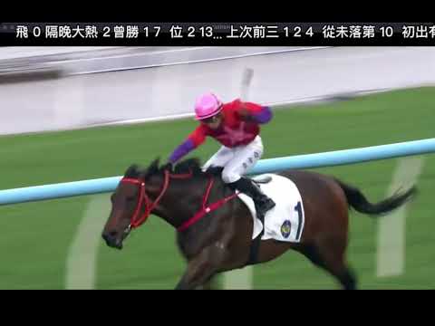 2026 05 17 沙田 第七場 #自動自覺 #袁幸堯