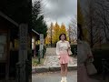 公園入口の暴風 #昭和 #サスペンス #shorts #ai