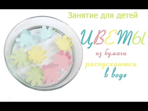 Занятия для детей. Цветы из бумаги распускаются в воде