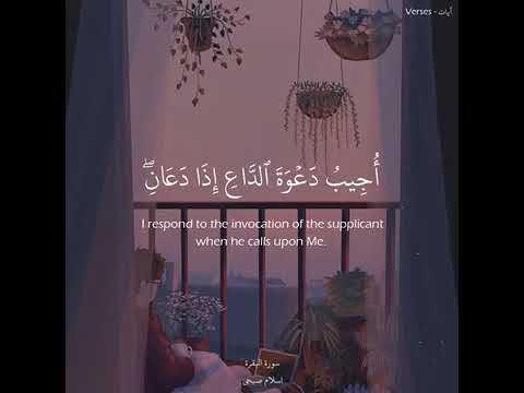 سورة البقرة بصوت القارئ اسلام صبحي حاله واتس اب 