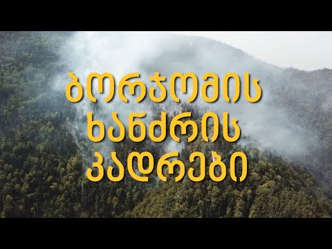 ხანძარი ბორჯომის მუნიციპალიტეტში - დრონის კადრები