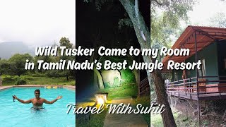 Download Lagu The Ultimate Wilderness Experience: Jungle Hut Resort Review MP3 Download Lagu The Ultimate Wilderness Experience: Jungle Hut Resort Review MP3
