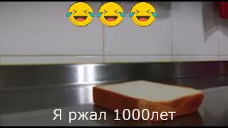 Хлеб упал и котёнок закрыл уши и кричит🤣🤣🤣