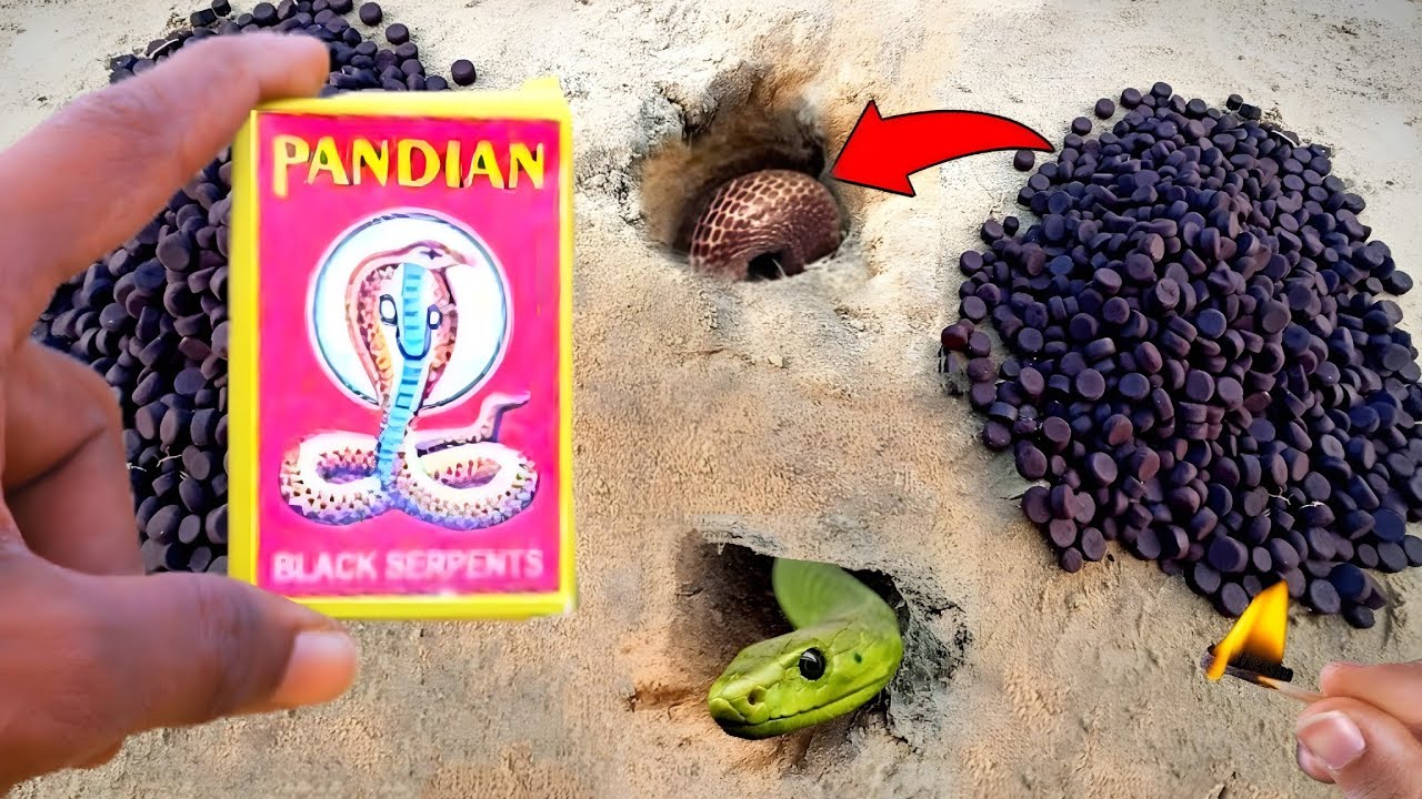 68000 Snake 🐍BOMB at Once Fire Crackers || Snake Bumb At Once Hole Cracker Testing || Testing 2025