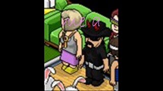 Habbox live experiences