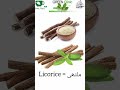 #shorts #licoriceroot #desinuskha #herbal